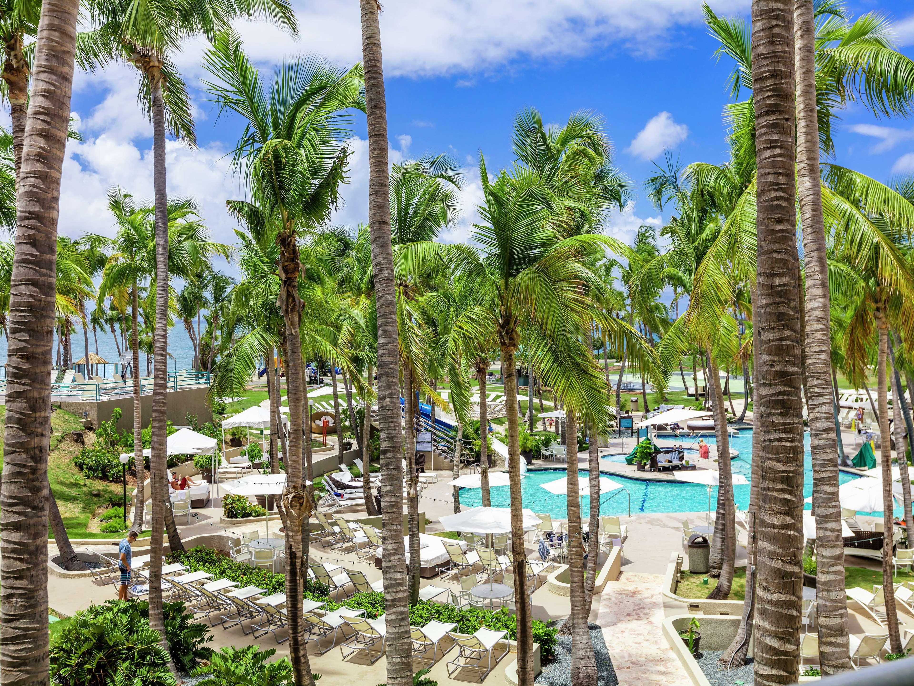 Hilton Ponce Golf & Casino Resort מראה חיצוני תמונה