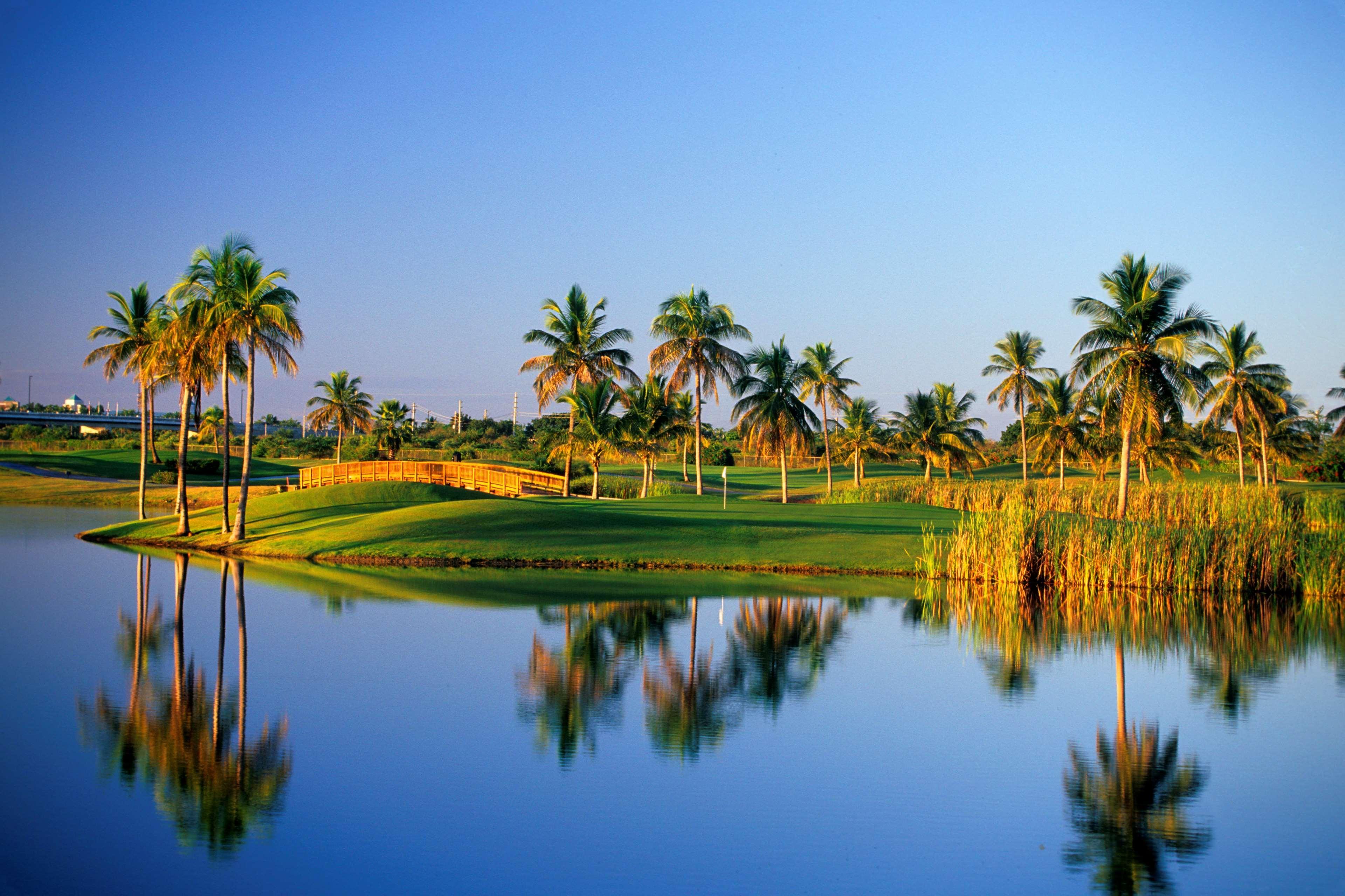 Hilton Ponce Golf & Casino Resort מראה חיצוני תמונה